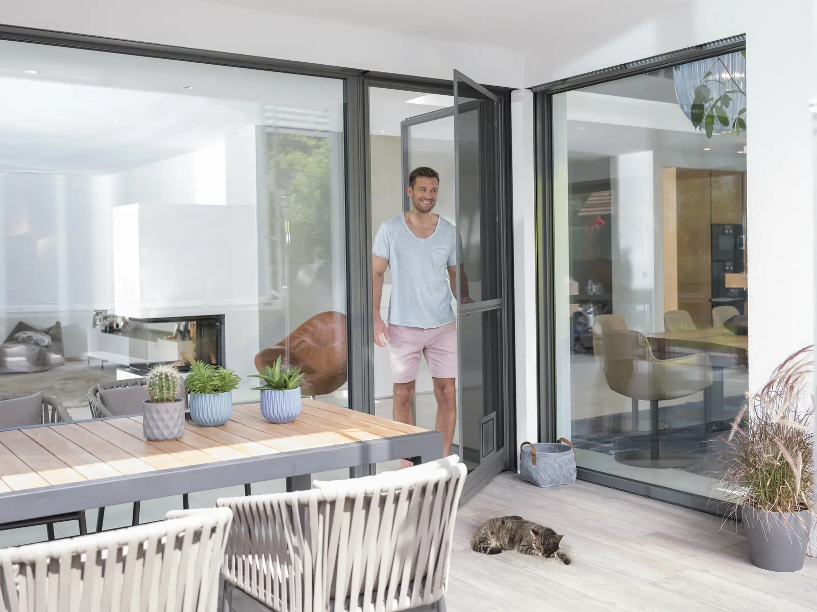 Insektenschutz Aarau Drehtür stabil